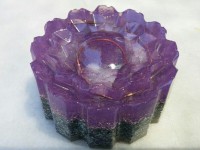 /album/galeria/semitactica-flor-morada-8-jpg/